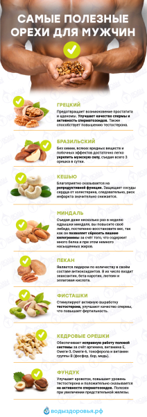 Какой спорт полезный и вредный для потенции и мужского здоровья