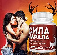 Сила Марала для повышения потенции &ndash; как работает средство