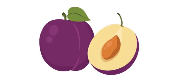 Влияние сливы на организм мужчины: польза и вред, влияние на потенцию