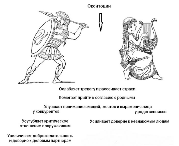 Окситоцин (oxytocin): что это такое, за что отвечает, как повысить его уровень в организме