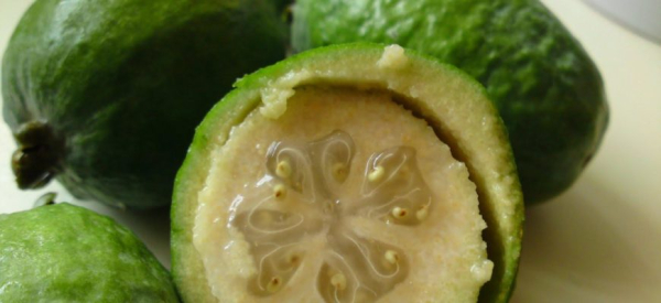 Польза и вред фейхоа для организма мужчины, как влияет на потенцию фрукт