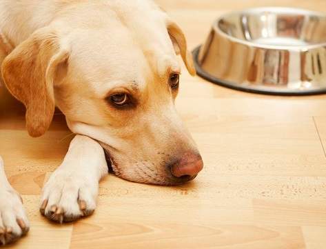 Симптомы и лечение отравлений алюминием