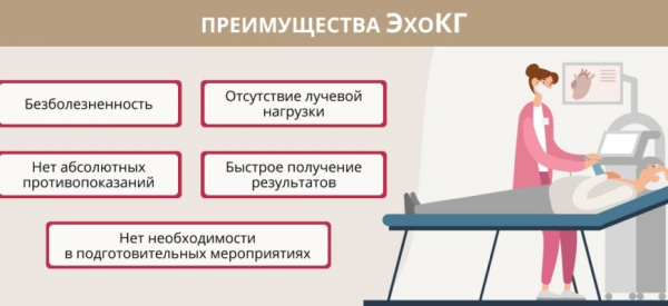 Что такое эхокардиография (ЭхоКГ)