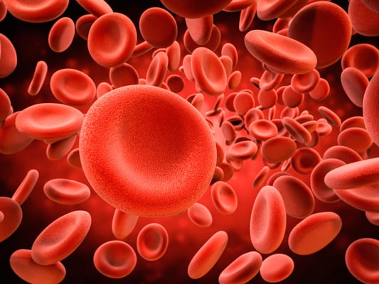 Влияние курения кальяна на мужскую потенцию &ndash; вся правда