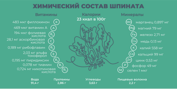 Шпинат для потенции мужчин: полезные свойства и противопоказания