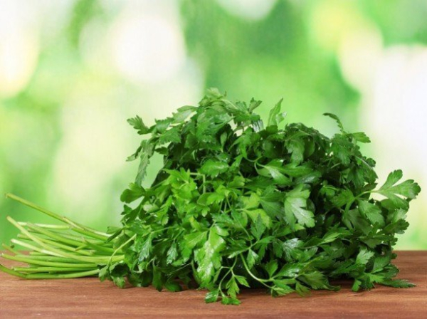 Петрушка для улучшения потенции: полезность и прием