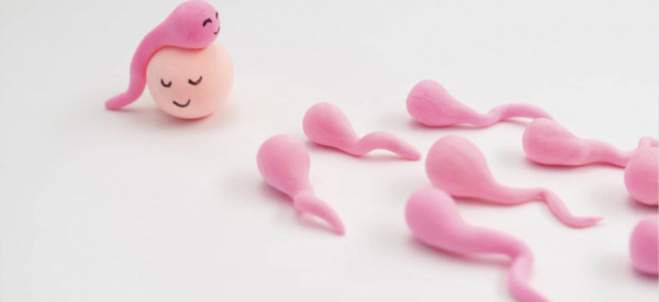 Химический состав спермы: польза и вред для женщин от мужского эякулята