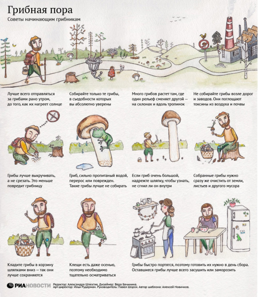 Симптомы и лечение отравления шампиньонами