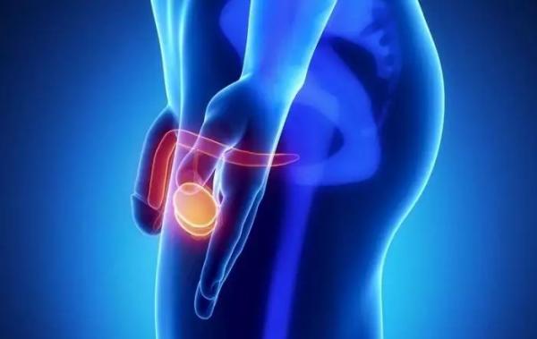 Вред застоя спермы в яйцах и простате: причины и действия