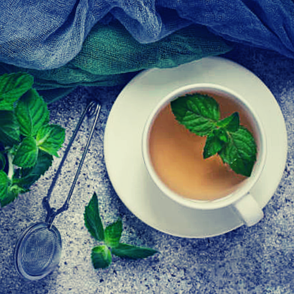 Влияние мяты на мужскую потенцию: снижение или повышение?