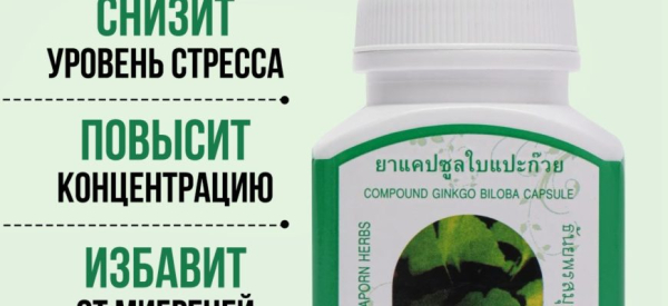 Гинкго Билоба для повышения потенции у мужчин