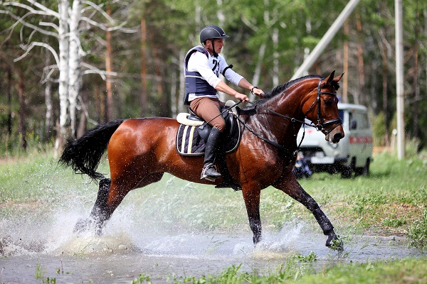 Какой спорт полезный и вредный для потенции и мужского здоровья