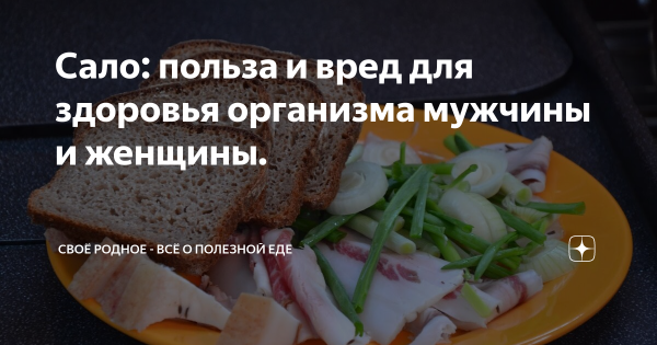 Полезные свойства сала для здоровья и потенции мужчин, противопоказания