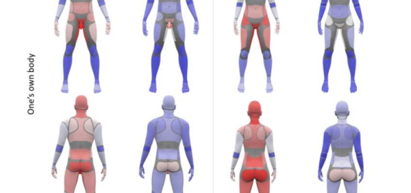 10 самых эрогенных зон у девушек: какие, где находятся и как найти