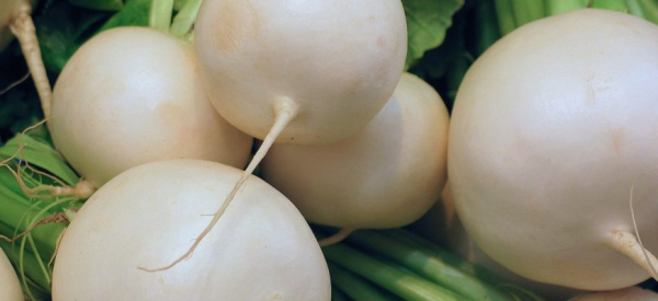 Черная редька: полезность для мужчин, влияние на потенцию и организм