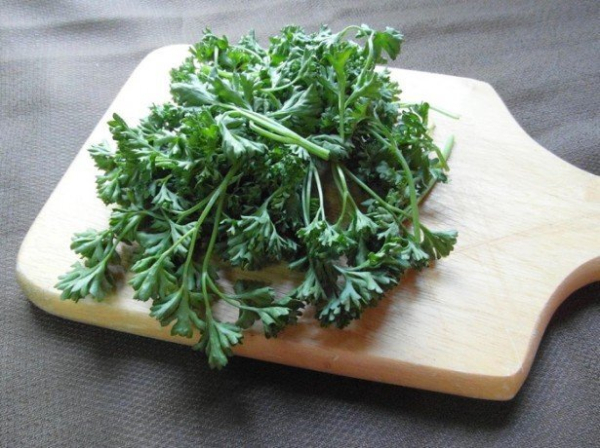 Петрушка для улучшения потенции: полезность и прием