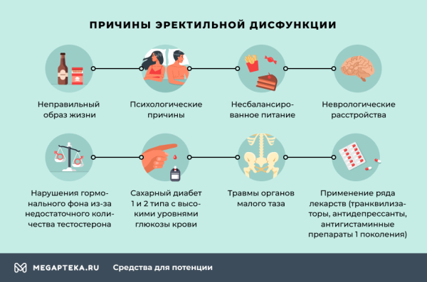 Укроп для повышения потенции и улучшения эрекции у мужчин