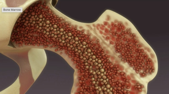 Как восстановить потенцию после химиотерапии