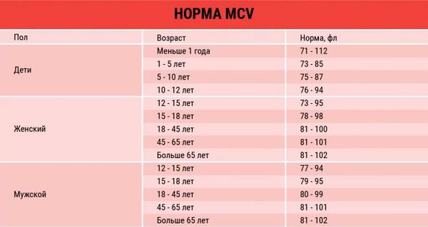 Моноциты в крови &mdash; нормы и расшифровка результатов