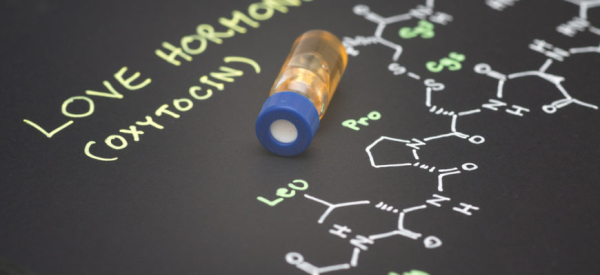 Окситоцин (oxytocin): что это такое, за что отвечает, как повысить его уровень в организме