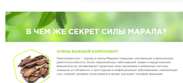 Сила Марала для повышения потенции &ndash; как работает средство