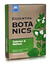 Мелисса &mdash; растение успокаивающее, полезное для мужской потенции