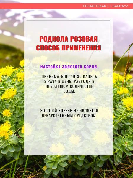 Инструкция по применению родиолы розовой для мужчин от импотенции