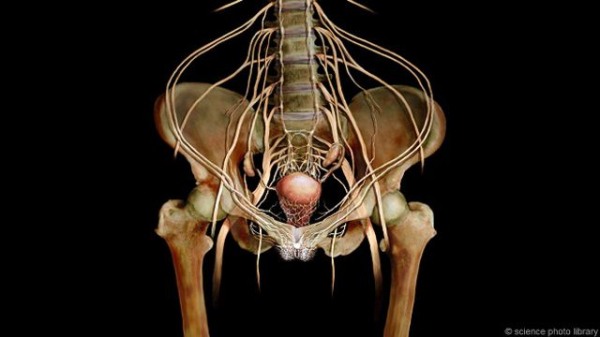 10 признаков, как понять, что женщина достигла оргазма