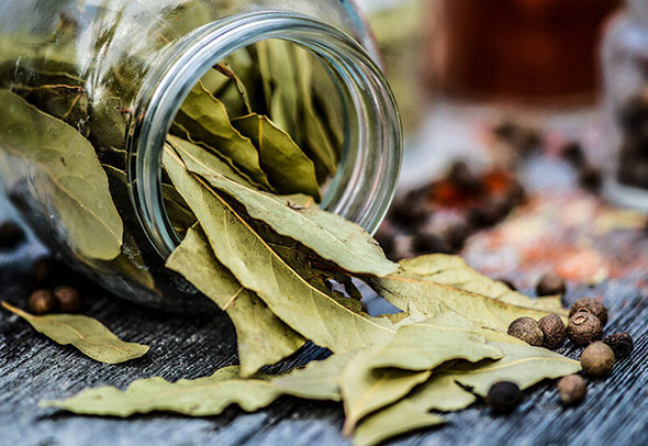 Горчица для мужчин: 10 полезных свойств и 7 противопоказаний, влияние на потенцию