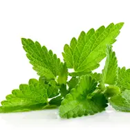 Аир болотный &mdash; полезное для потенции и мужского здоровья растение