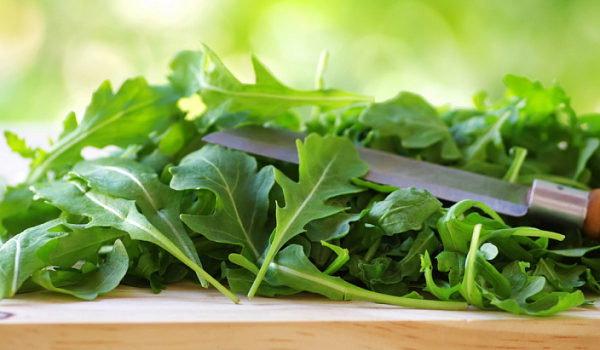 Полезные свойства рукколы для организма и потенции мужчин, противопоказания