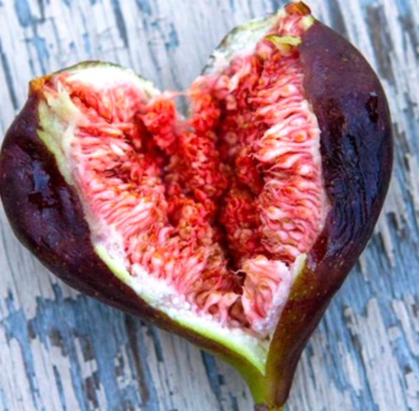 Инжир &ndash; возбуждающий плод для восстановления потенции