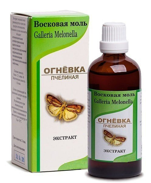 Восковая моль &mdash; уникальное средство для потенции у мужчин