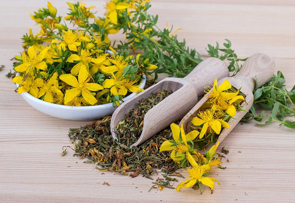 Чабрец &ndash; полезные свойства и противопоказания для мужчин, рецепты