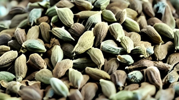 Как повысить мужскую потенцию с помощью кардамона: советы и рекомендации