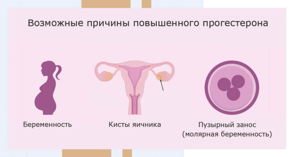 На какой день цикла сдаются анализы на прогестерон