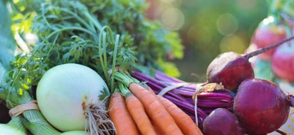 Свекла &ndash; как употреблять мужчине для хорошей эрекции
