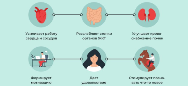 Гормон Дофамин: что такое, где содержится и на что влияет, как повысить уровень в организме