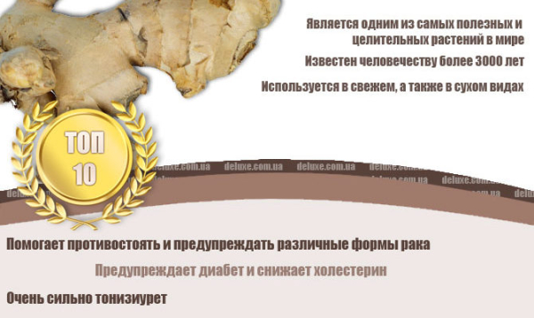 Все полезные свойства имбиря для мужчин и их &laquo;силы&raquo;, противопоказания