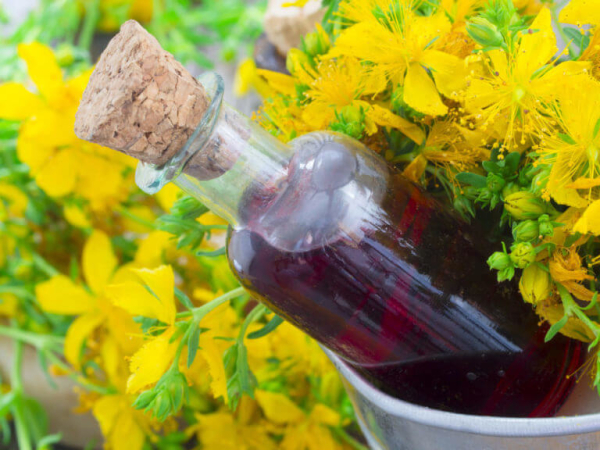 Зверобой для мужчин: влияние на потенцию, рецепты для эрекции