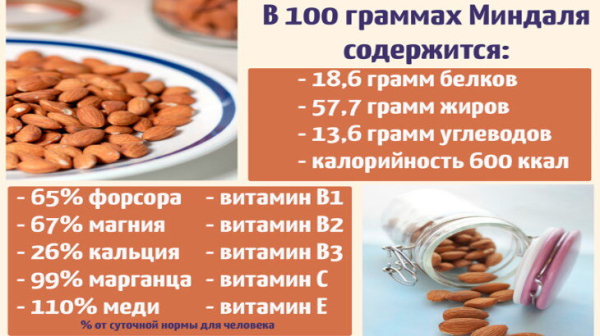 Полезные свойства и противопоказания миндаля для мужчин