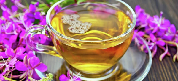 Принимать ли иван-чай при простатите и аденоме простаты и как он помогает?