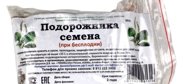 Подорожник &mdash; эффективное средство от мужской импотенции