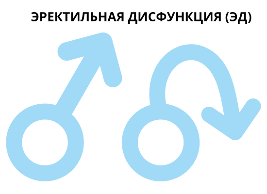 10 самых эффективных трав для лечения эректильной дисфункции