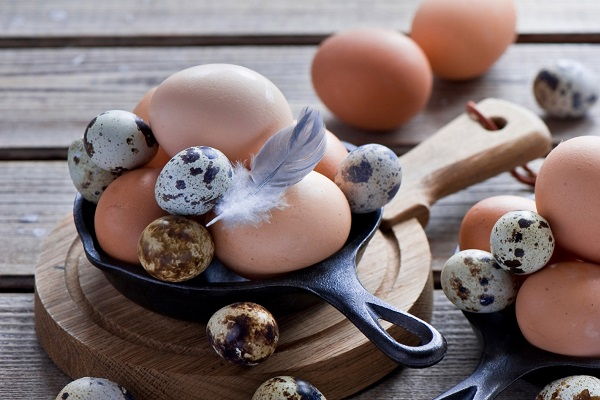 Какие яйца самые полезные для потенции и как их применять