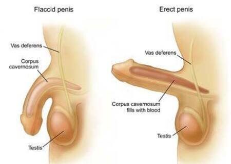 Спинальная импотенция: причины, симптомы и методы лечения