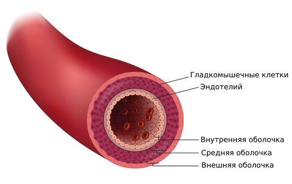 Узелковый периартериит: понятие, причины, течение, диагностика, лечение