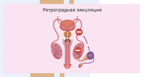 Что такое &laquo;мужская эякуляция&raquo;, как происходит, коррекция оргазма