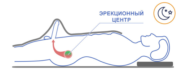 Восстановление мужской силы после секса &mdash; как ускорить