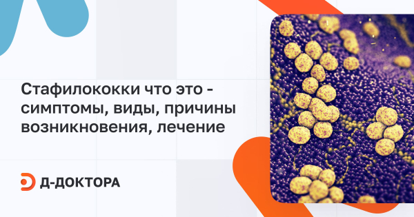 Стафилококк золотистый ауреус &mdash; симптомы и лечение